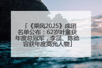 《乘风2025》成团名单公布：62岁叶童获年度总冠军，李晟、陈德容获年度高光人物