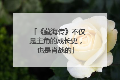 《藏海传》不仅是主角的成长史，也是肖战的