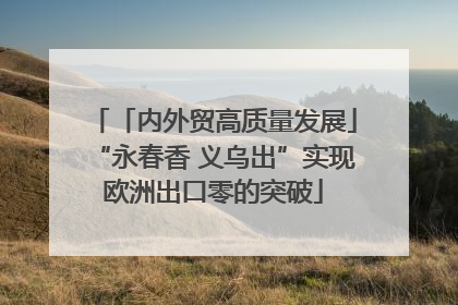 「内外贸高质量发展」“永春香 义乌出”实现欧洲出口零的突破