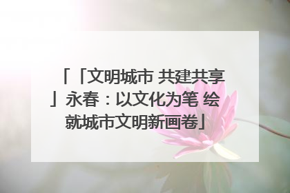 「文明城市 共建共享」永春：以文化为笔 绘就城市文明新画卷
