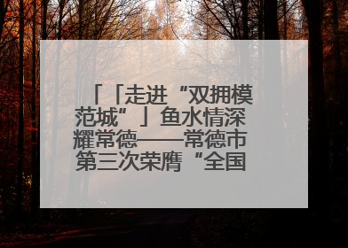 「走进“双拥模范城”」鱼水情深耀常德——常德市第三次荣膺“全国双拥模范城”