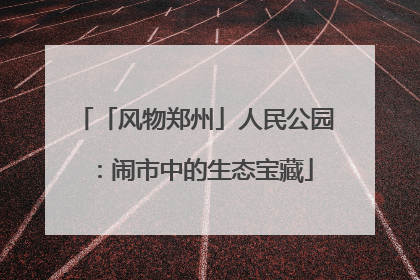 「风物郑州」人民公园：闹市中的生态宝藏