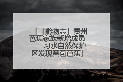 「黔物志」贵州芭蕉家族新增成员——习水自然保护区发现黄苞芭蕉