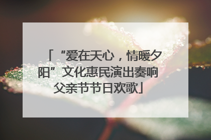 “爱在天心，情暖夕阳”文化惠民演出奏响父亲节节日欢歌