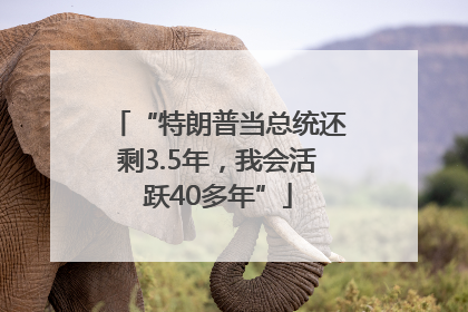 “特朗普当总统还剩3.5年，我会活跃40多年”