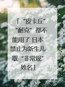 “皮卡丘”“耐克”都不能用了 日本禁止为新生儿取“非常规”姓名