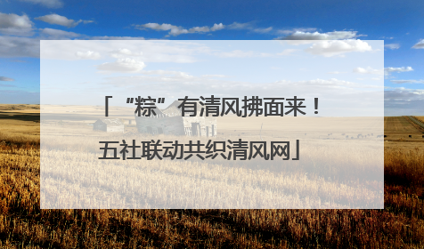 “粽”有清风拂面来！五社联动共织清风网
