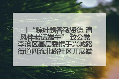 “粽叶飘香敬贤德 清风伴老话端午” 致公党李沧区基层委携手兴城路街道四流北路社区开展端午节主题活动