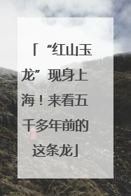 “红山玉龙”现身上海！来看五千多年前的这条龙