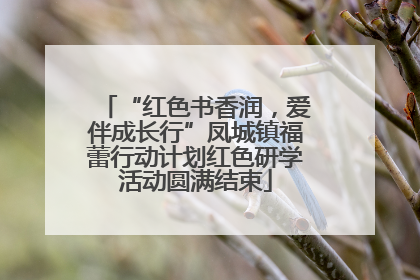 “红色书香润，爱伴成长行”凤城镇福蕾行动计划红色研学活动圆满结束