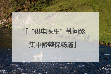 “供电医生”勤问诊 集中修整保畅通