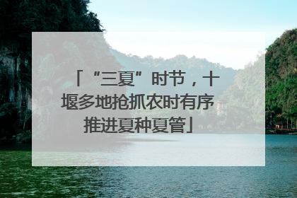 “三夏”时节，十堰多地抢抓农时有序推进夏种夏管