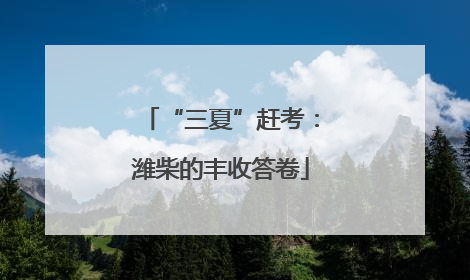 “三夏”赶考：潍柴的丰收答卷