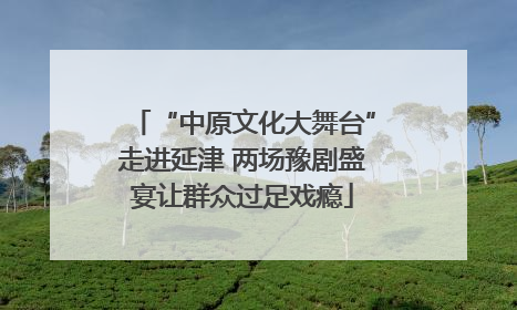 “中原文化大舞台”走进延津 两场豫剧盛宴让群众过足戏瘾