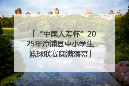 “中国人寿杯”2025年漳浦县中小学生篮球联赛圆满落幕