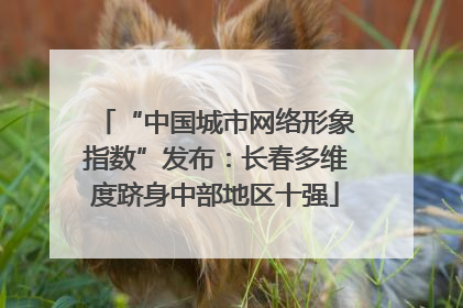 “中国城市网络形象指数”发布：长春多维度跻身中部地区十强