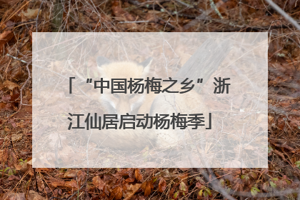 “中国杨梅之乡”浙江仙居启动杨梅季