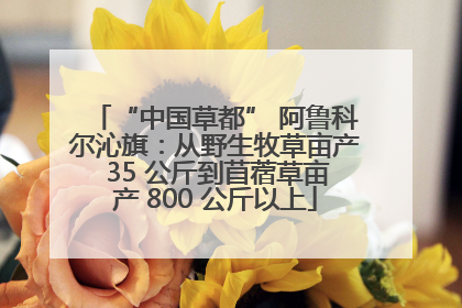 “中国草都” 阿鲁科尔沁旗：从野生牧草亩产 35 公斤到苜蓿草亩产 800 公斤以上