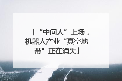 “中间人”上场，机器人产业“真空地带”正在消失