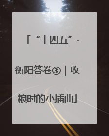 “十四五”·衡阳答卷③｜收粮时的小插曲