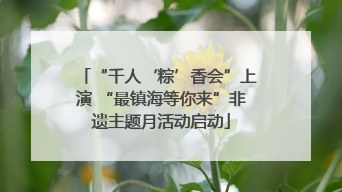 “千人‘粽’香会”上演 “最镇海等你来”非遗主题月活动启动