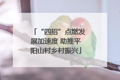 “四招”点燃发展加速度 助推平阳山村乡村振兴