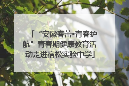 “安徽春蕾•青春护航”青春期健康教育活动走进宿松实验中学