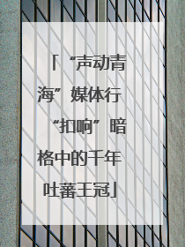“声动青海”媒体行“扣响”暗格中的千年吐蕃王冠