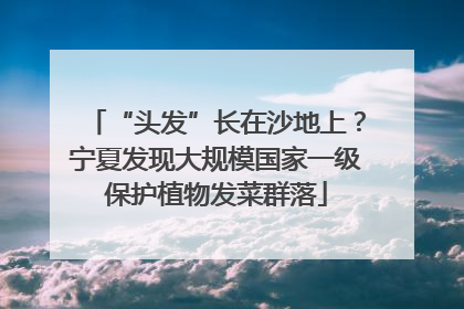“头发”长在沙地上？宁夏发现大规模国家一级保护植物发菜群落