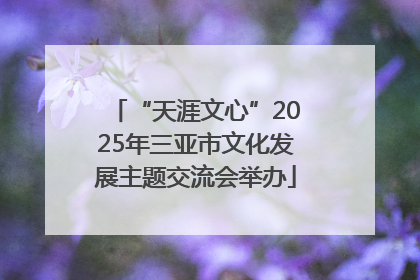 “天涯文心”2025年三亚市文化发展主题交流会举办