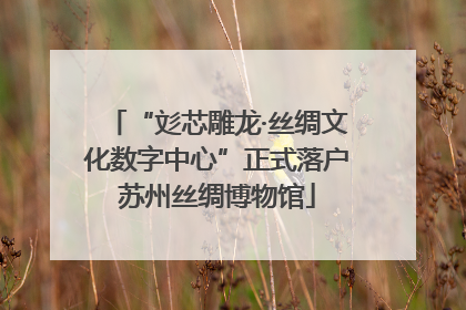 “彣芯雕龙·丝绸文化数字中心”正式落户苏州丝绸博物馆
