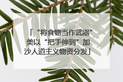 “将食物当作武器” 美以“把手伸到”加沙人道主义物资分发
