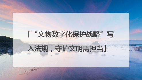 “文物数字化保护战略”写入法规，守护文明需担当