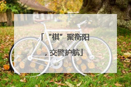 “棋”聚衡阳，交警护航