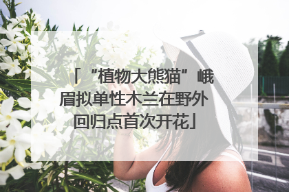 “植物大熊猫”峨眉拟单性木兰在野外回归点首次开花