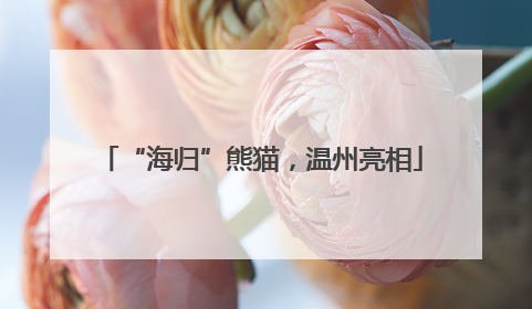 “海归”熊猫，温州亮相
