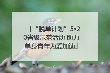 “脱单计划”5•20省级示范活动 助力单身青年为爱加速