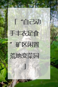“自己动手丰衣足食”矿区闲置荒地变菜园