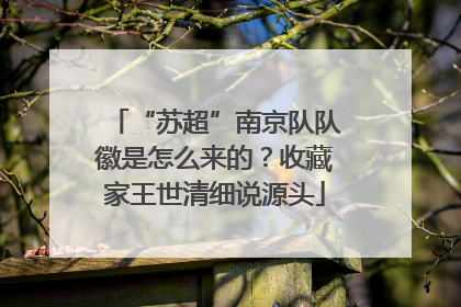 “苏超”南京队队徽是怎么来的？收藏家王世清细说源头