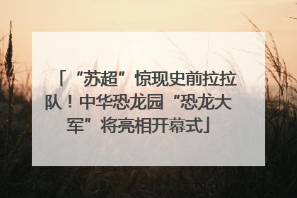 “苏超”惊现史前拉拉队！中华恐龙园“恐龙大军”将亮相开幕式