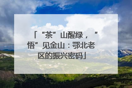“茶”山醒绿，“悟”见金山：鄂北老区的振兴密码