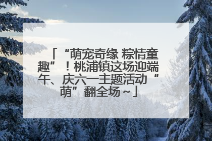“萌宠奇缘 粽情童趣”！桃浦镇这场迎端午、庆六一主题活动“萌”翻全场～
