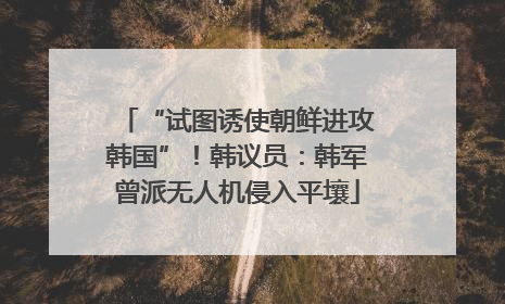 “试图诱使朝鲜进攻韩国”！韩议员：韩军曾派无人机侵入平壤