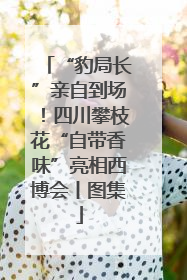 “豹局长”亲自到场！四川攀枝花“自带香味”亮相西博会丨图集