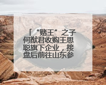 “赌王”之子何猷君收购王思聪旗下企业，接盘后前往山东参加活动