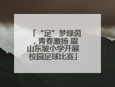 “足”梦绿茵，青春激扬 眉山东坡小学开展校园足球比赛