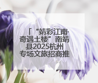 “靖彩江南·奇遇土楼”南靖县2025杭州专场文旅招商推介会举行