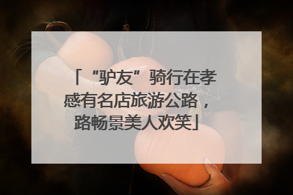 “驴友”骑行在孝感有名店旅游公路，路畅景美人欢笑