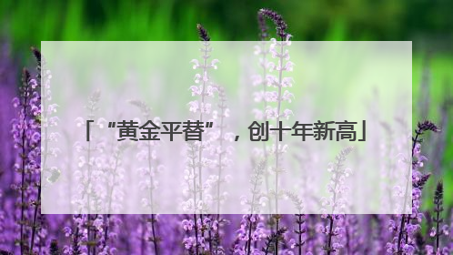 “黄金平替”，创十年新高