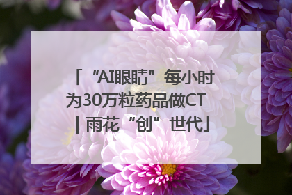 “AI眼睛”每小时为30万粒药品做CT｜雨花“创”世代